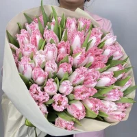 51 luxurious tulips